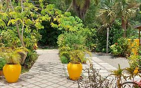 Chez Mera Self Catering